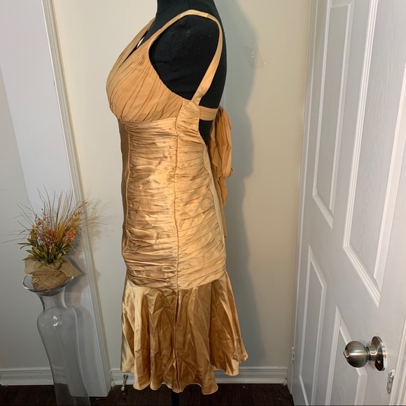 Dina Barel Soft Gold Tone Silk Flattering Dress - Picture 6 of 16